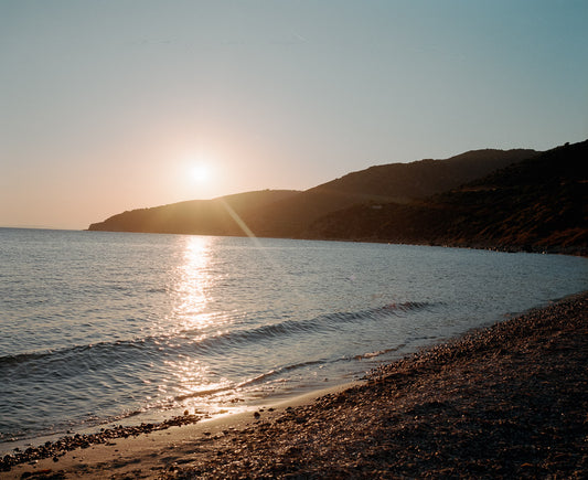 Kodak Portra 800 - 120 Medium Format Film