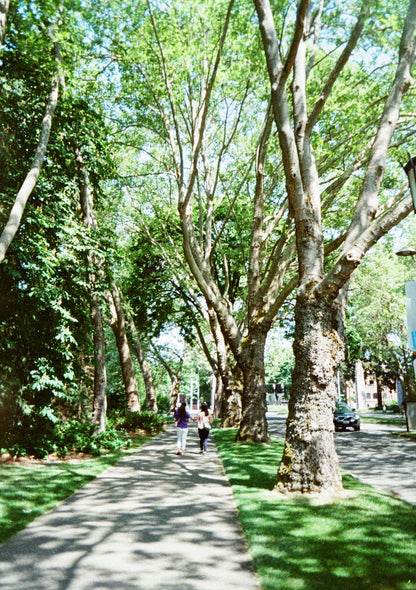 Kodak Ektar H35N - 35mm Half Frame Camera - Orange