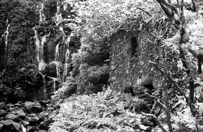 WASHI Z - ISO 400 - B&W 35mm